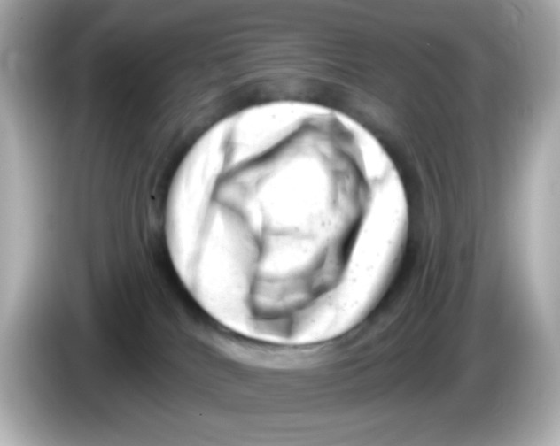 X0000085800040200704091457