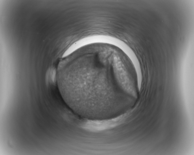 X0000085800041200704091457