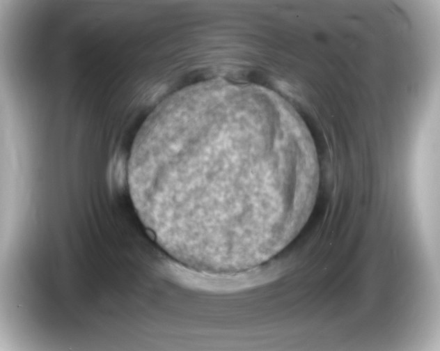 X0000085800042200704091457