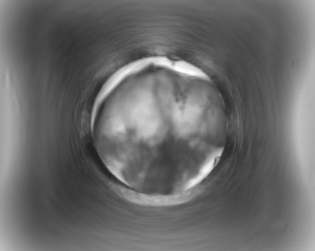 X0000085800043200704091456