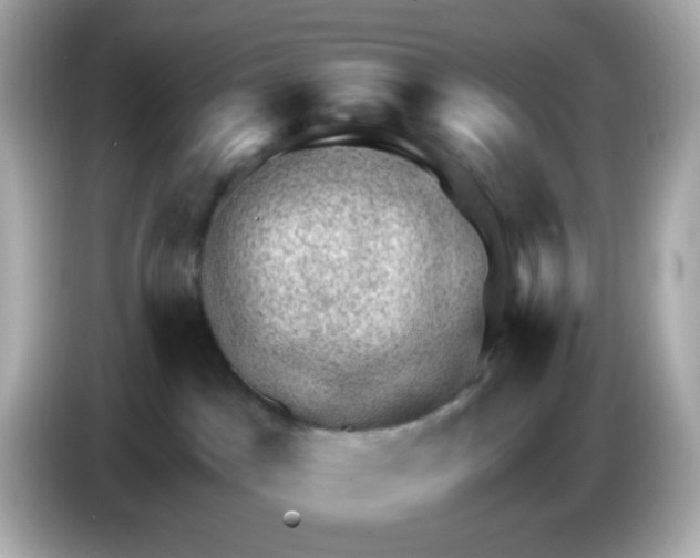 X0000085800045200704091456