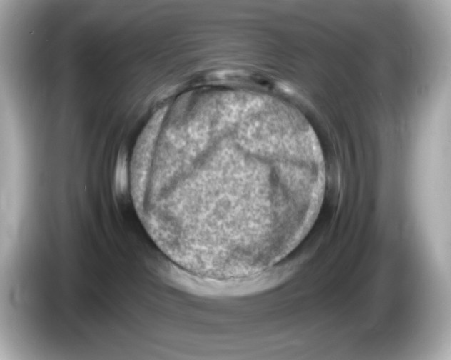 X0000085800046200704091456