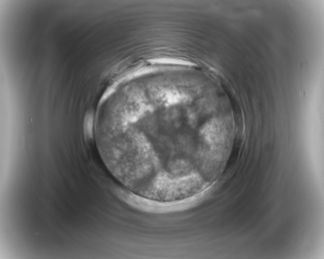 X0000085800047200704091456