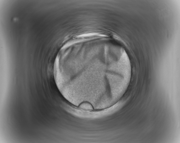 X0000085800048200704091456