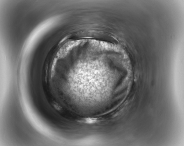 X0000085800052200704091456