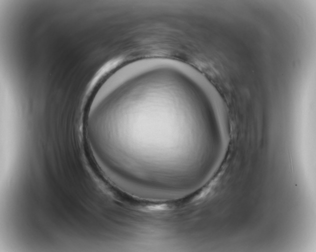 X0000085800054200704091456