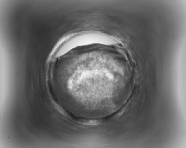 X0000085800056200704091456