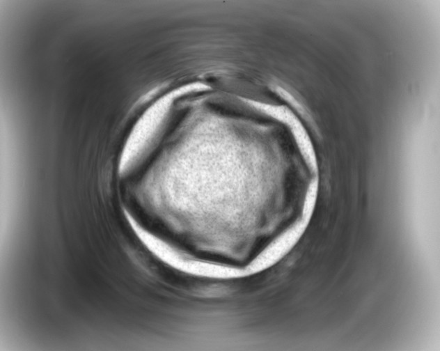 X0000085800058200704091456