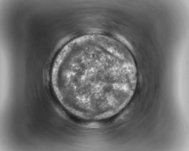 X0000085800059200704091456