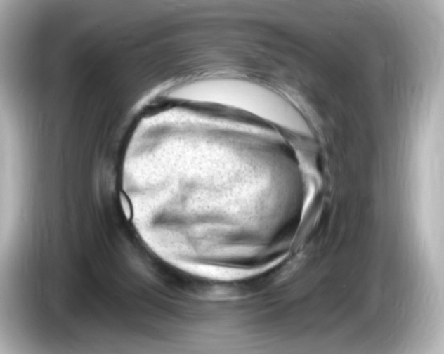 X0000085800060200704091456