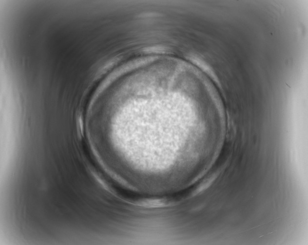 X0000085800061200704091456