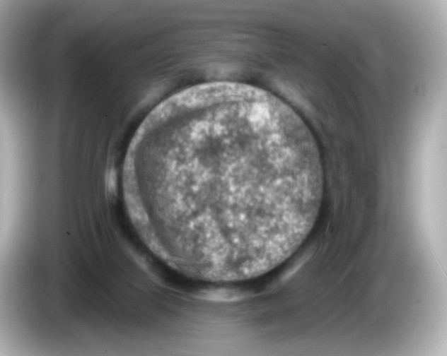 X0000085800067200704091456