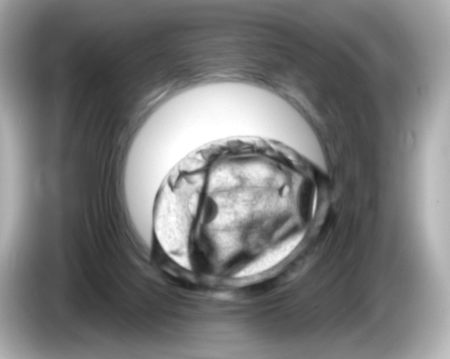 X0000085800068200704091456