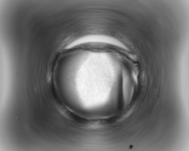 X0000085800072200704091456