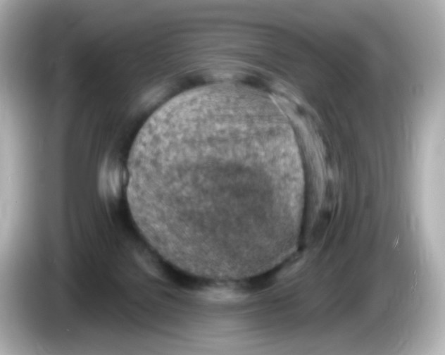 X0000085800076200704091456