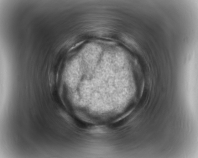 X0000085800077200704091456