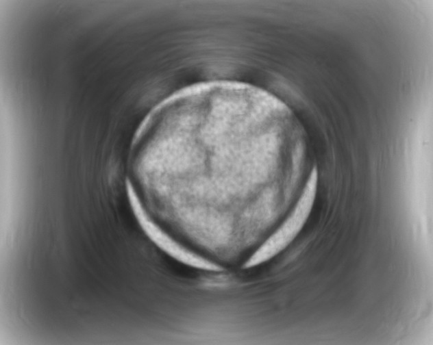 X0000085800079200704091456