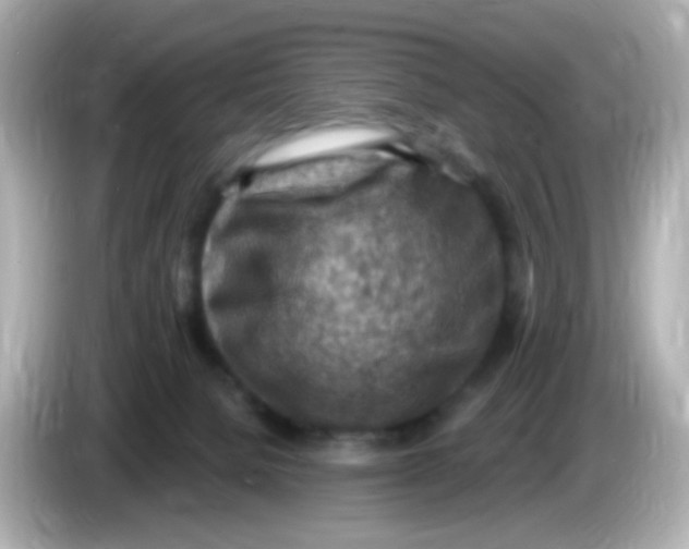 X0000085800080200704091456