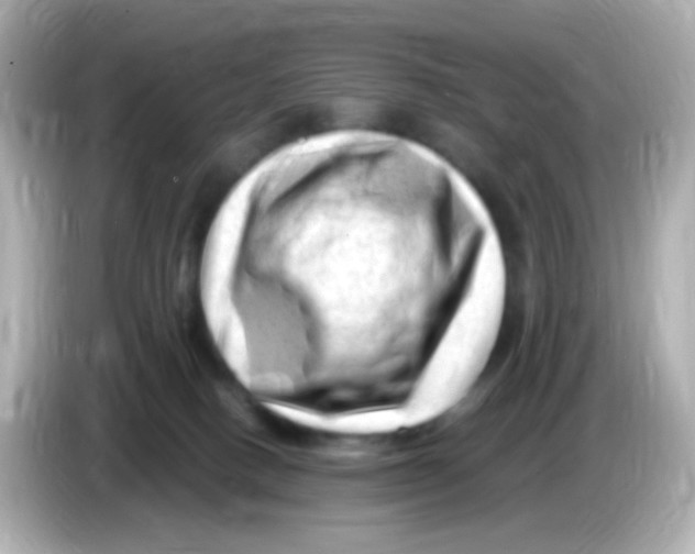 X0000085800082200704091456