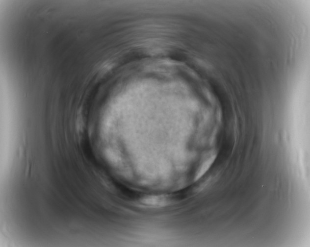 X0000085800084200704091456