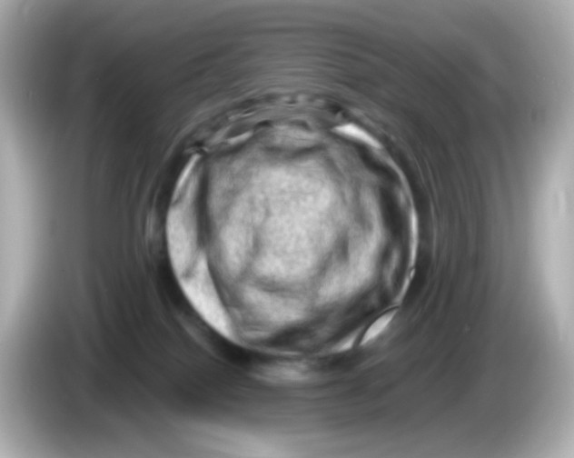 X0000085800086200704091456