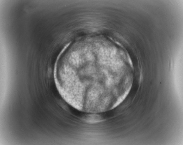 X0000085800087200704091456