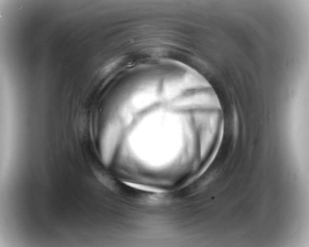 X0000085800092200704091456