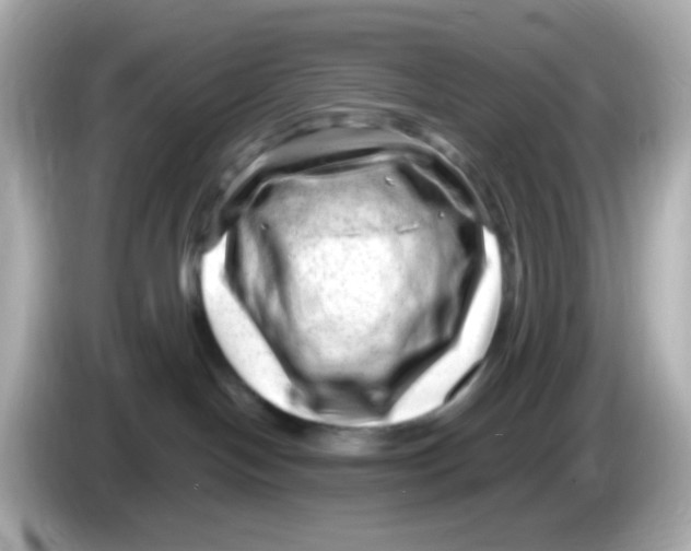 X0000085800094200704091456