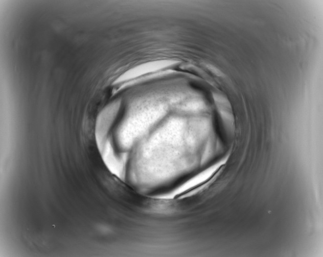 X0000085800096200704091456