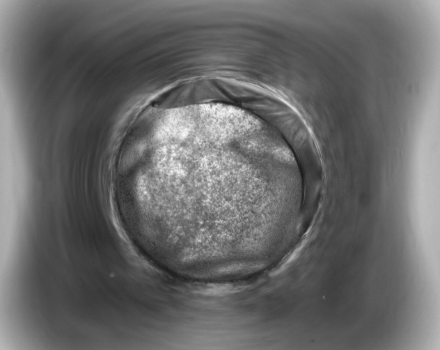 X0000085800097200704091456