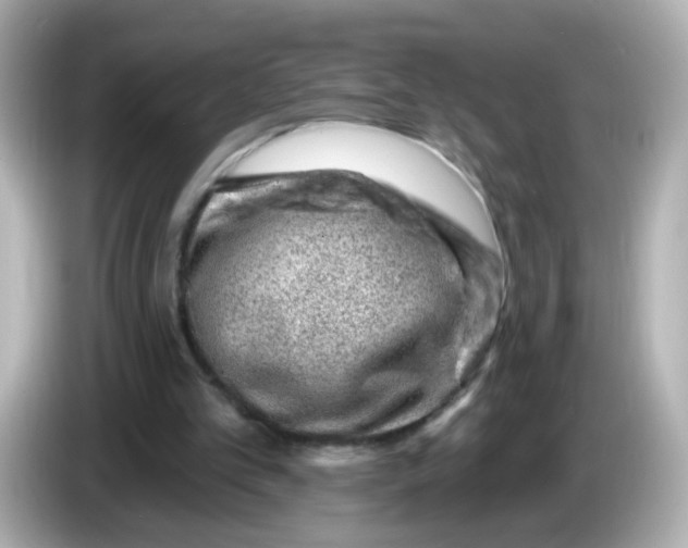 X0000085800101200704091456