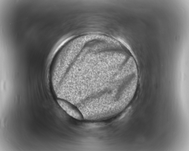 X0000085800103200704091456