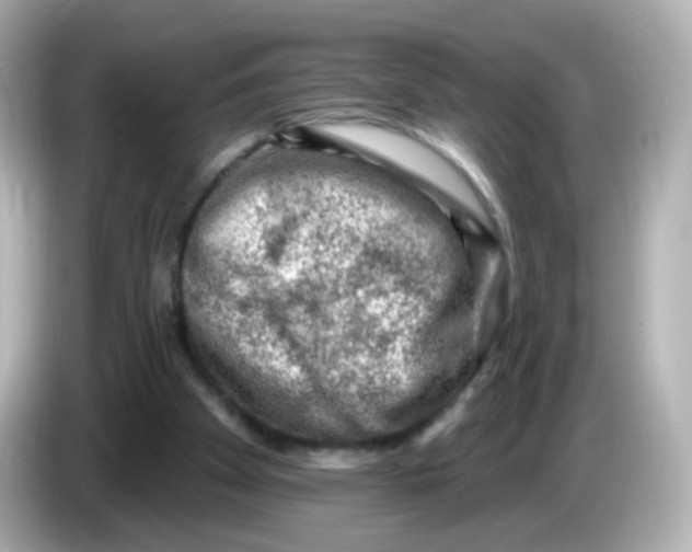 X0000085800105200704091456