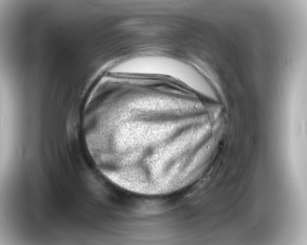 X0000085800107200704091456