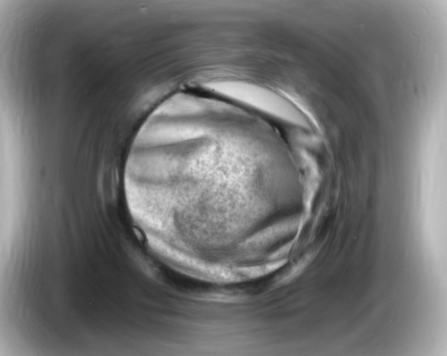 X0000085800109200704091456