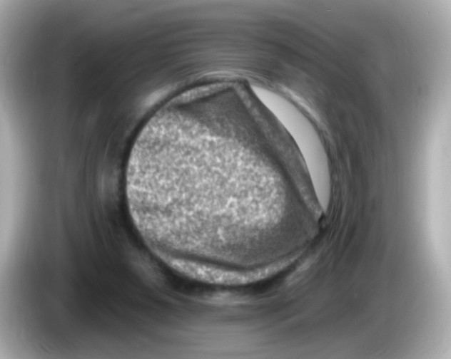 X0000085800111200704091456