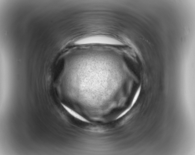 X0000085800113200704091456