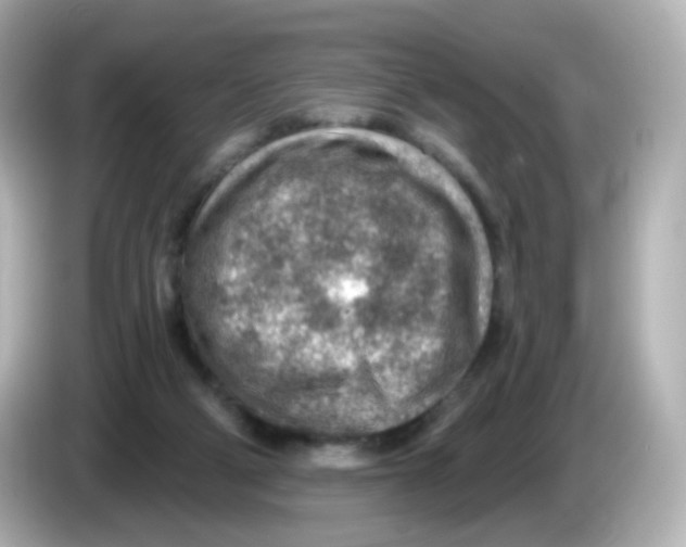 X0000085800114200704091456