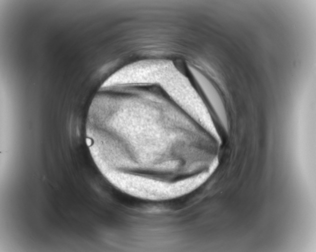 X0000085800115200704091456