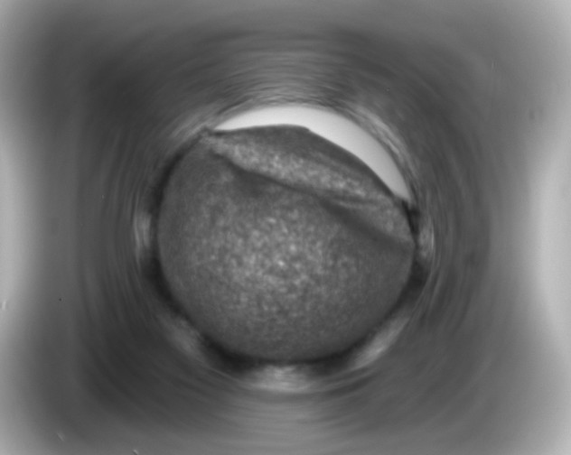 X0000085800117200704091456