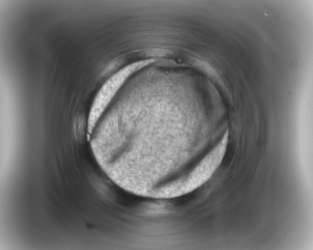 X0000085800118200704091456