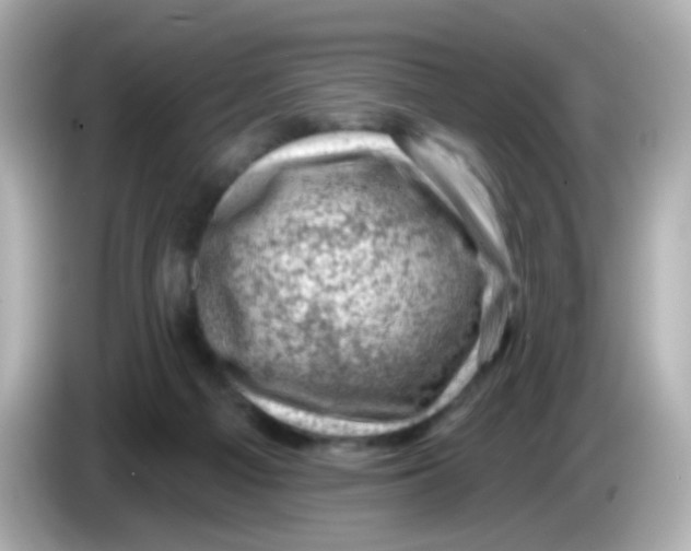 X0000085800121200704091456