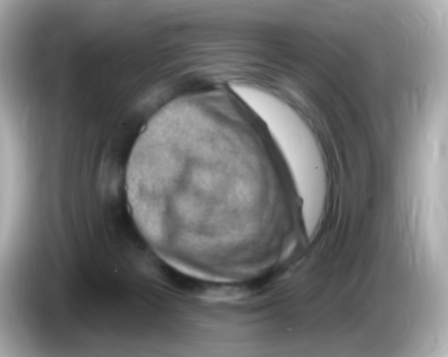 X0000085800125200704091456