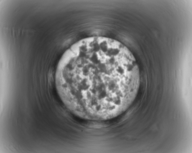 X0000085800127200704091456