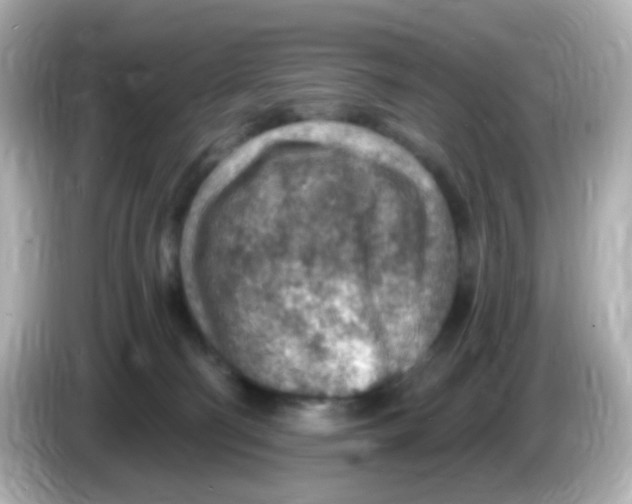 X0000085800130200704091455