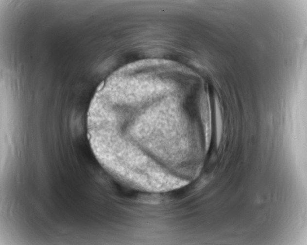 X0000085800131200704091455