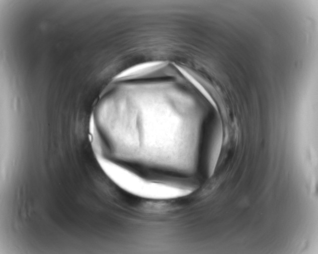 X0000085800133200704091455