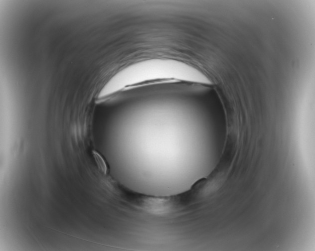 X0000085800139200704091455