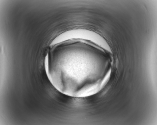 X0000085800141200704091455