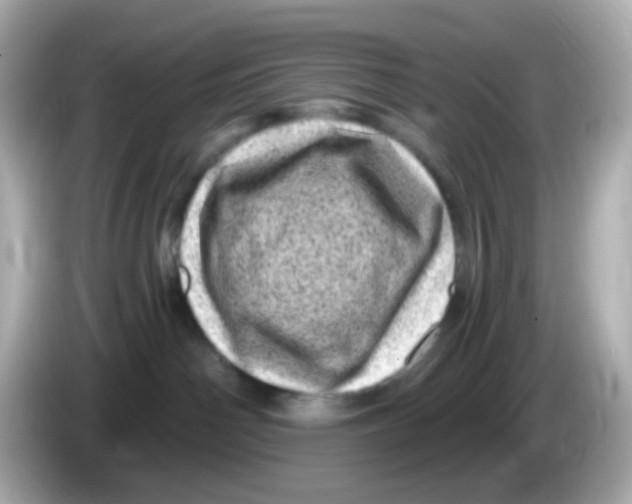 X0000085800142200704091455